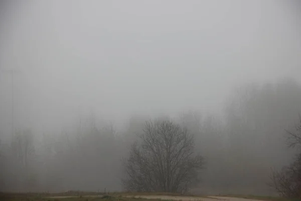 Tozlu hava etkili olacak