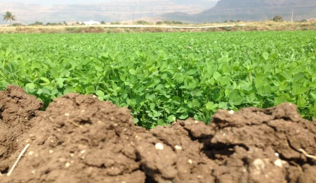 Karpaz Koruma Derneği’nden ürün kaybı ödemesine destek