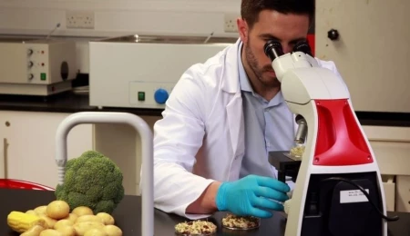 Haftalık gıda denetimi: 6 yerli üründe limit üstü bitki koruma ürünü