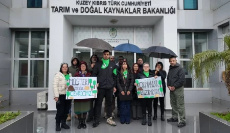 Patika Doğa Sporları Derneği: Ormanlarda ücret uygulaması Anayasa’ya aykırı, keyfî ve belirsiz