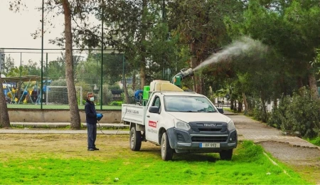 Lefkoşa Türk Belediyesi’nin çam kese böceğiyle mücadelesi sonuç verdi: Şikâyetler 9’a düştü